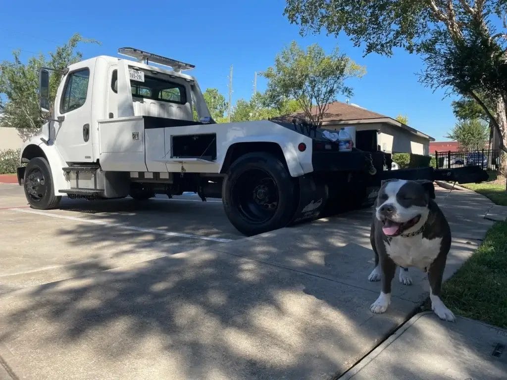 Black White Towing 5 1024x768